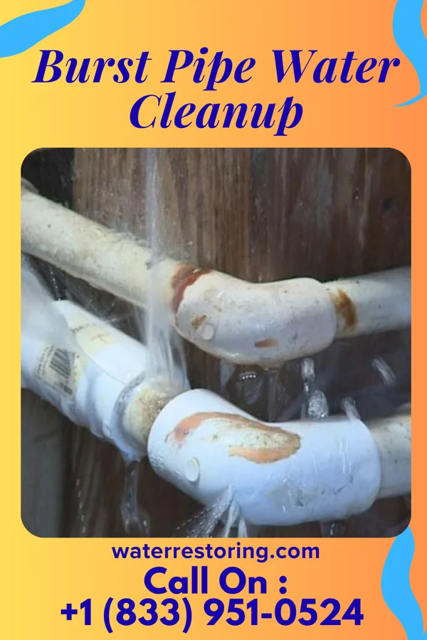 Burst Pipe Water Cleanup in Zion, SC