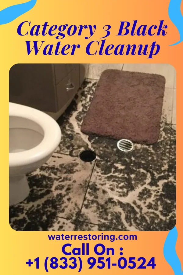 Category 3 Black Water Cleanup in Zion, SC