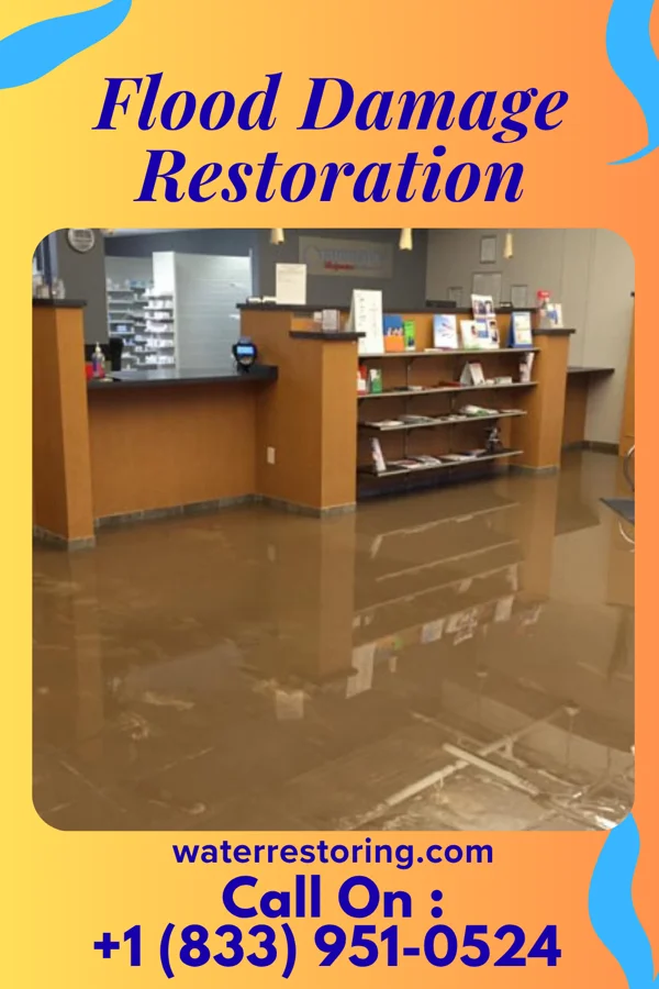 Flood Damage Restoration in Zion, SC