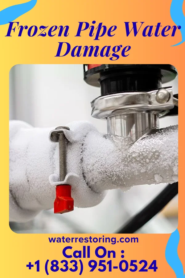 Frozen Pipe Water Damage in Zion, SC