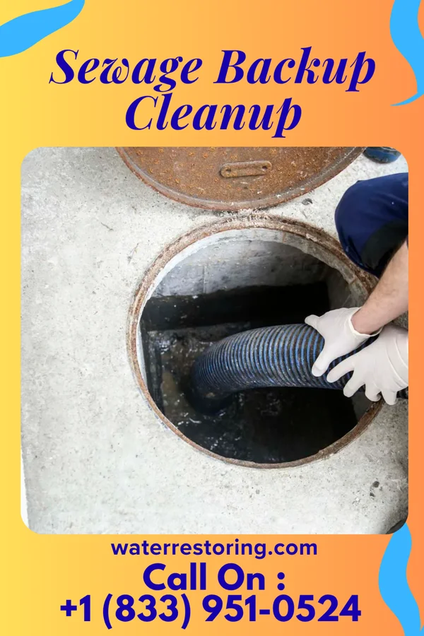 Sewage Backup Cleanup in Zion, SC