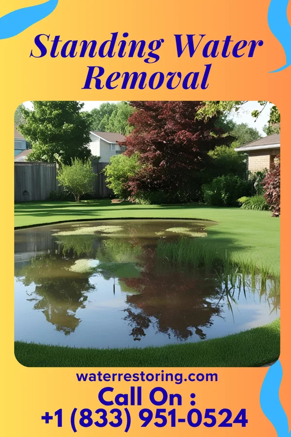 Standing Water Removal in Zion, SC